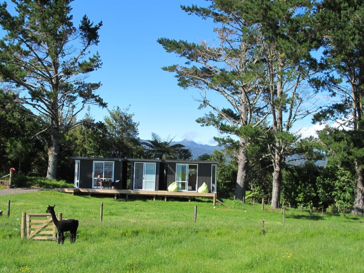 Waihi Gold Alpacas 3 Or 4 People Hotel Екстериор снимка