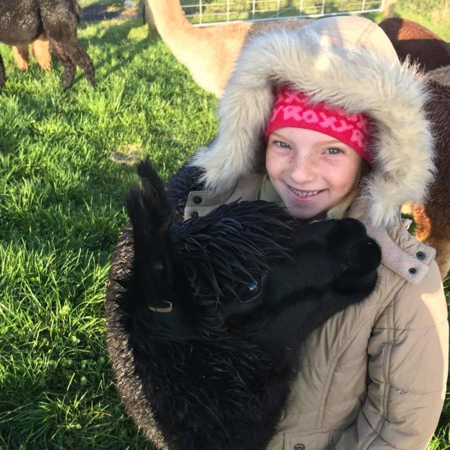 Waihi Gold Alpacas 3 Or 4 People Hotel Екстериор снимка